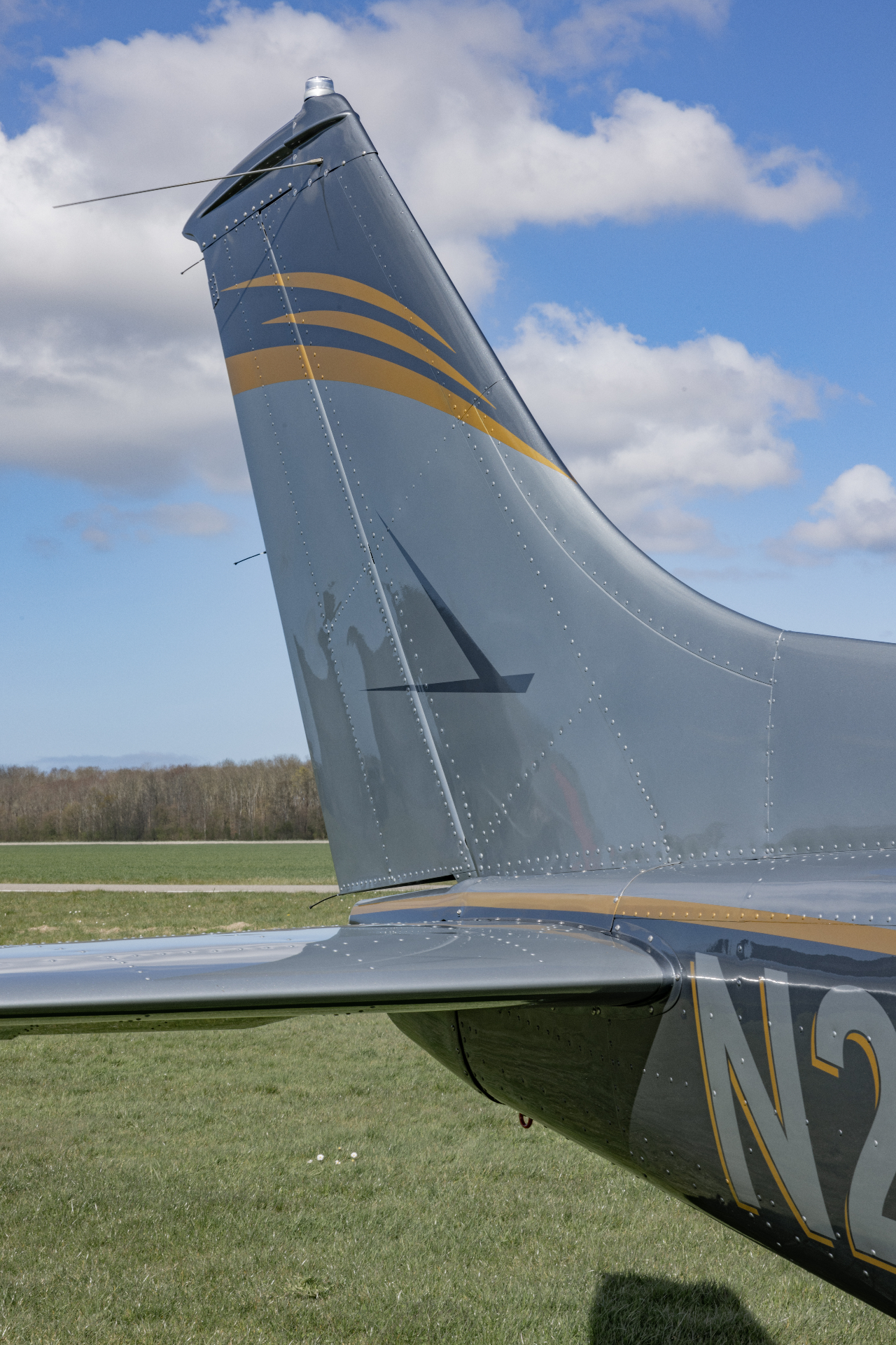 Tail detail with gold accents